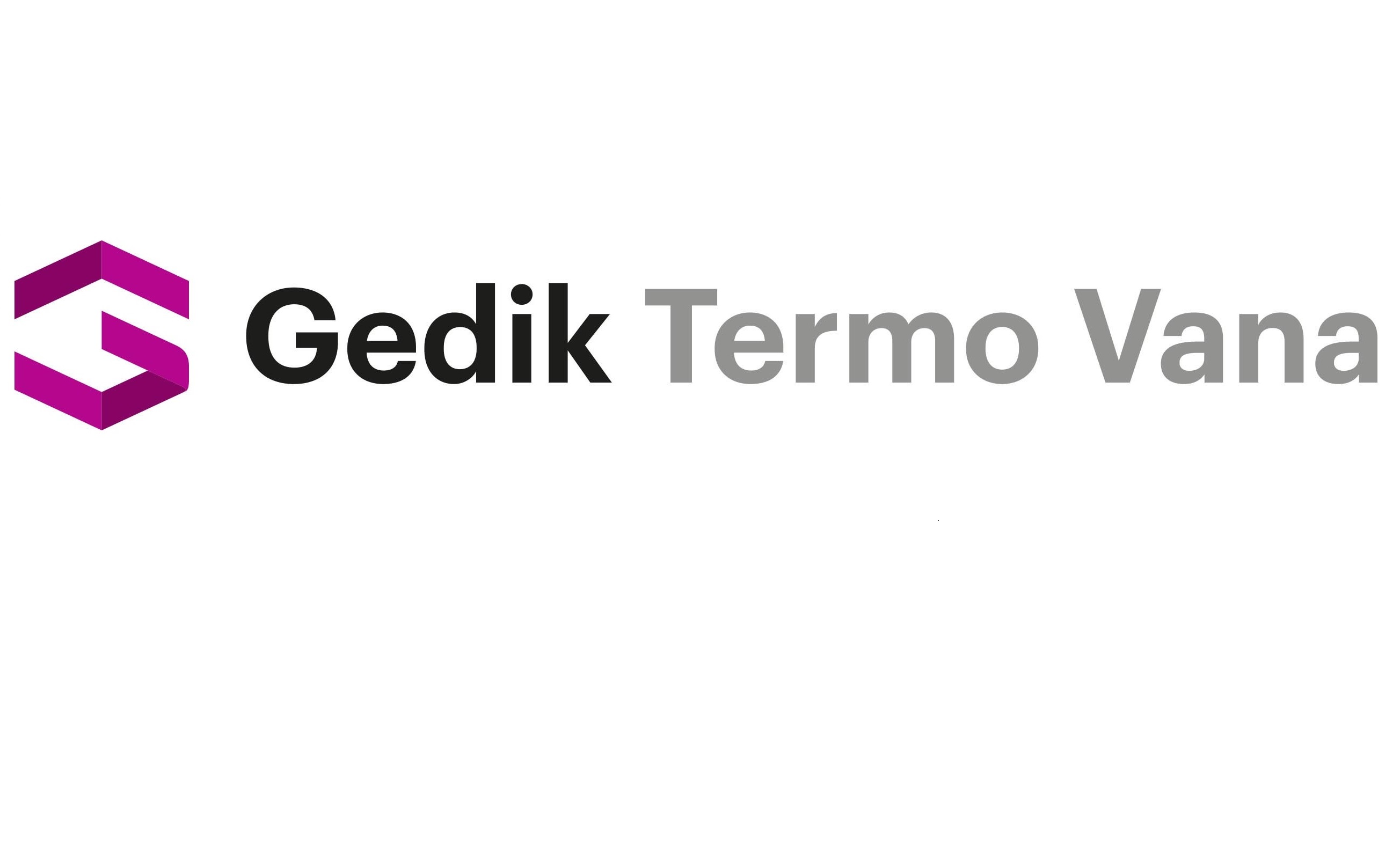 GEDİK TERMO VANA